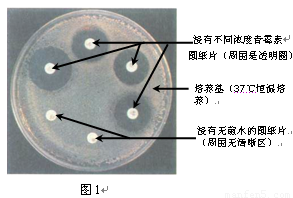 府东社区开展“庆七一、颂先进”活动-澳门新葡平台网址8883入口